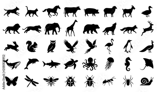 Obraz na płótnie Various Wildlife and Domestic Animal Black Silhouette Vector Collection Isolated