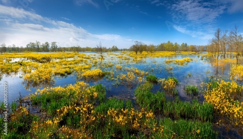 Flooded Wetlands In Bright Spring Colors