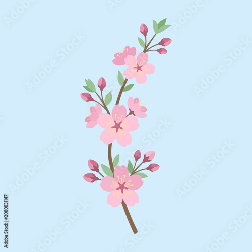 A delicate branch with blooming pink flowers on blue background