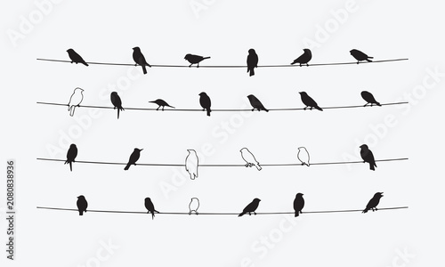 llustration of group of birds sitting on wires on white background line art and silhouette icon.