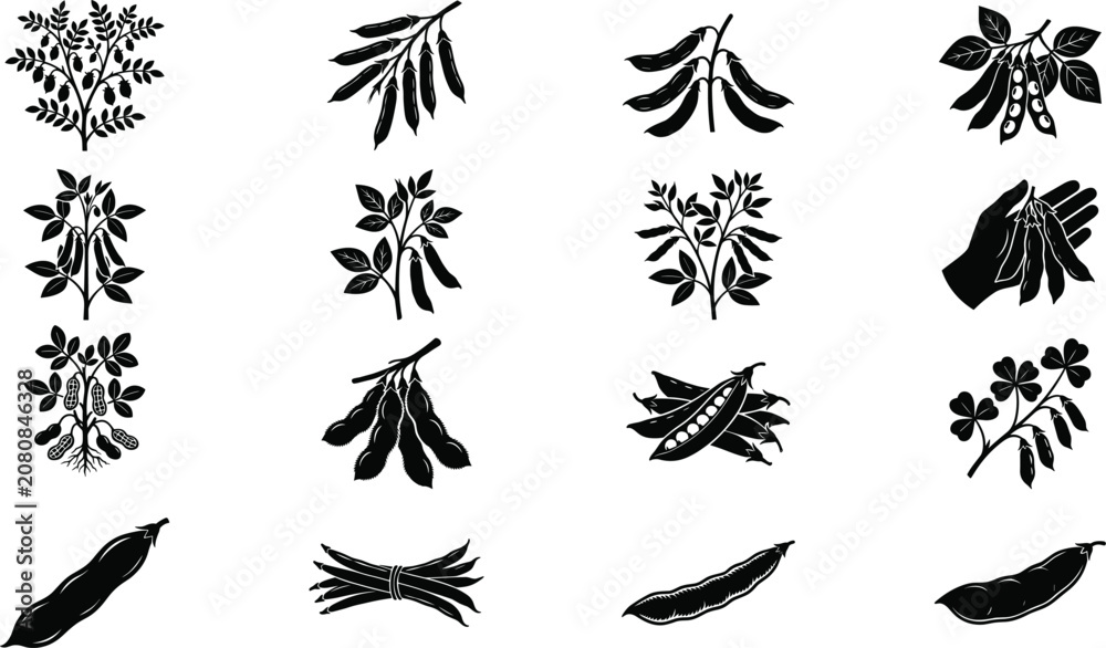Obraz premium Legume Plant Silhouette Icon Collection with Bean, Pea, and Pod Illustrations for Agricultural and Botanical Design Projects