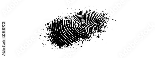 Obraz na plátně Grunge black fingerprint or thumbprint vector illustration for biometric identity security forensics and abstract graphic design background