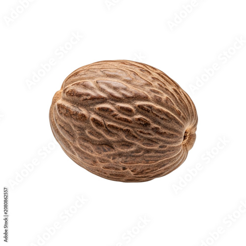 Brown Walnut Shell Closeup View.
