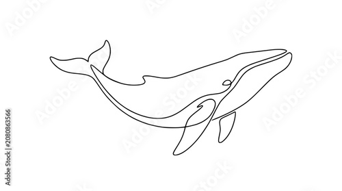 Minimalist single line drawing of a humpback whale swimming, isolated on white background.