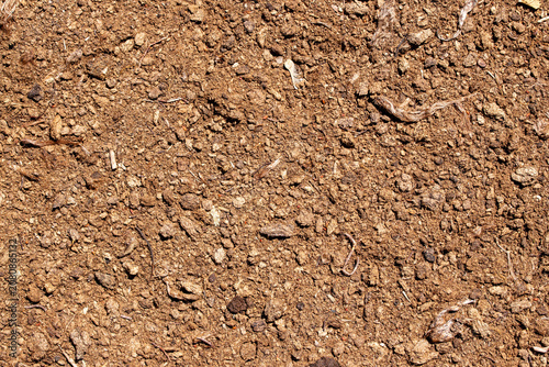 Fertile organic soil texture brown ground surface background for gardening agriculture concept