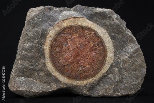 Cross-section of rough stone with a distinct round concretion embedded.