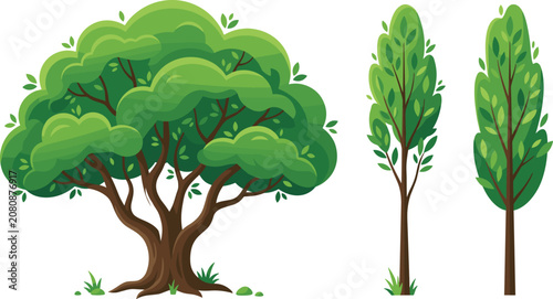 Photos Green Deciduous and Poplar Tree Set Vector Illustration Isolated on White Backgr