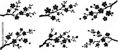 Set of black silhouette cherry blossom branches with flowers isolated on white background, Vector