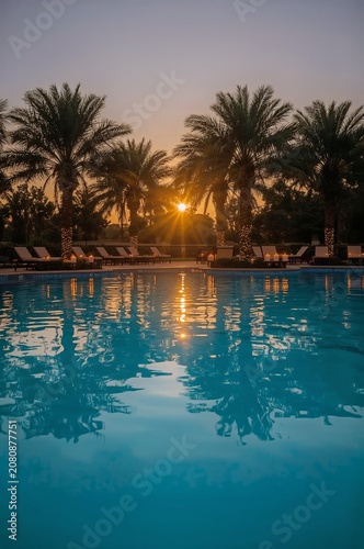 Sunset Reflects on Water at a Pool Surrounded by Palm Trees in a Resort Setting