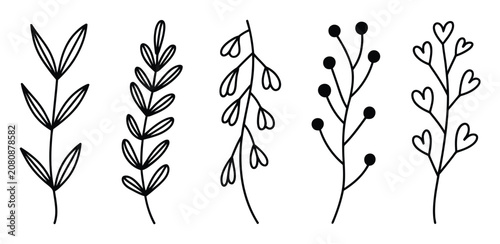 Obraz na płótnie ミニマリストな白黒の落書きスタイルの、5つの手描きの植物の枝と葉のコレクション。