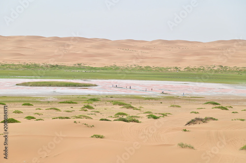 View of Camel Lake, or Luotuo Lake, a Natural Desert Oasis on the Edge of the Tengger Desert in Inner Mongolia, China