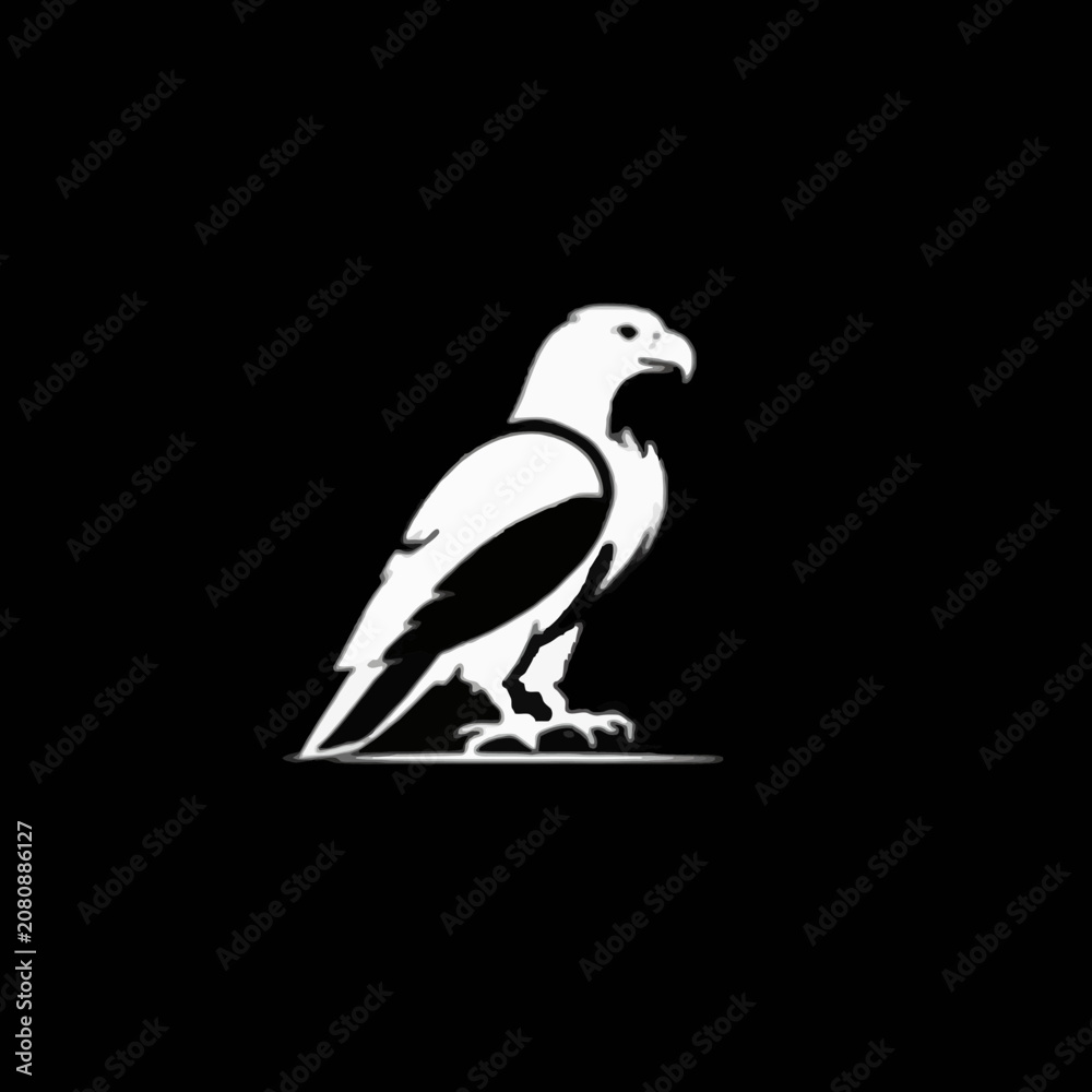 Fototapeta premium Elegant white eagle silhouette on a contrasting black background, embodying grace, power, and freedom, ideal for creating a strong visual identity for various projects