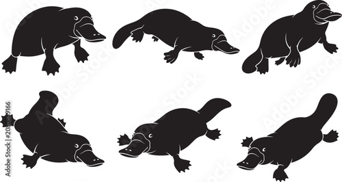 Foto Platypus vector silhouette illustration set, high quality vector silhouette, fully editable vector art