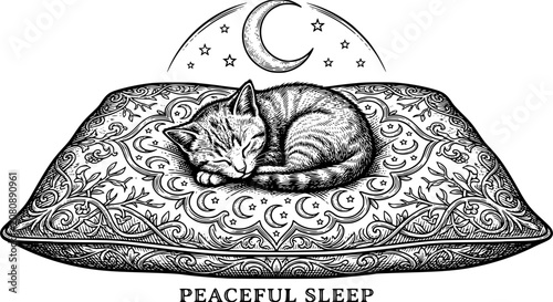 Obraz na plátně peaceful sleep, cat sleeping, black and white, svg, vector illustration, moon, p