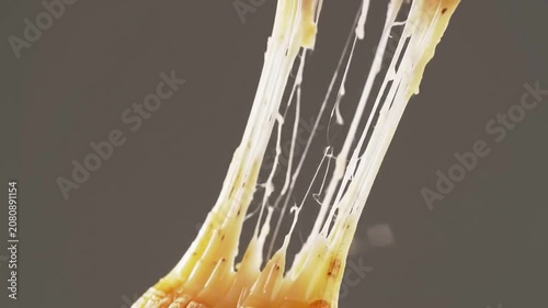 Static Shot Of A Golden-Brown Mozzarella Stick Being Pulled Apart Against A Plain Background Showcasing Stringy Melted Cheese
