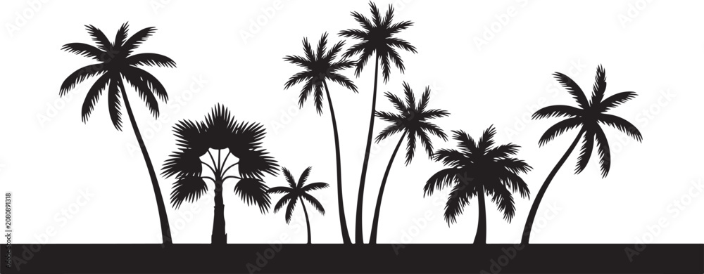 Fototapeta premium palm tree silhouettes