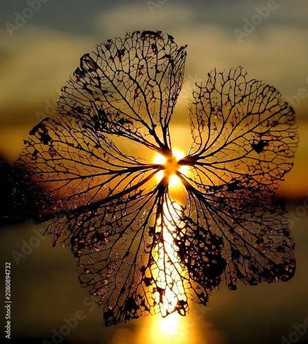 sunset in the sky