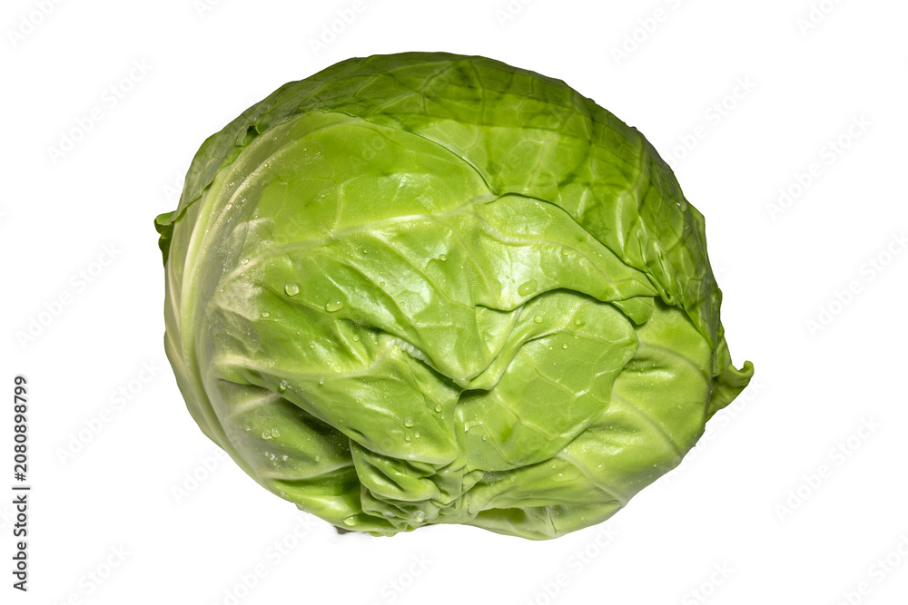 Fototapeta premium Fresh green cabbage head with water droplets, organic vegetable nutrition