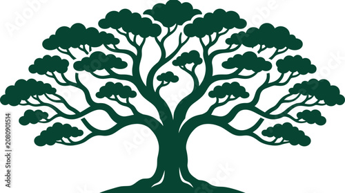 Valokuva Dark green tree silhouette with sprawling branches