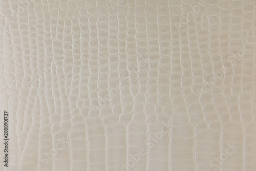 crocodile leather texture background showing a white surface with a pattern resembling reptile skin creating an interesting visual appeal