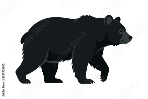 Black Bear Walking Vector Illustration