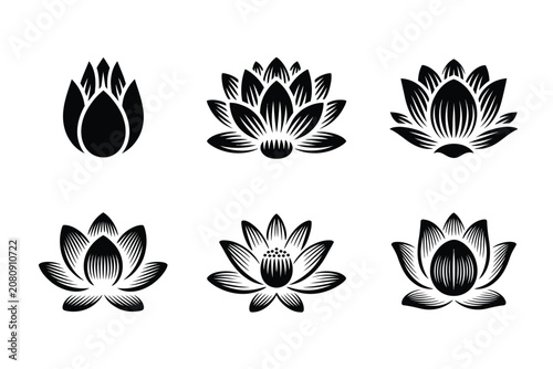 Fotografie 蓮の花のベクターイラストセット