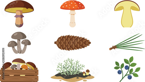 Konstfotografi Woodland Mushroom Collection Featuring Boletus Fly Agaric Porcini Forest Berries