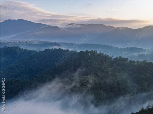 Foto Misty Mountain Forest at Sunrise