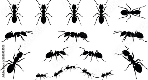 Tableau sur toile Black ant silhouette icon set featuring marching worker ants colony patterns pest control symbols and crawling insects isolated on white background vector illustration