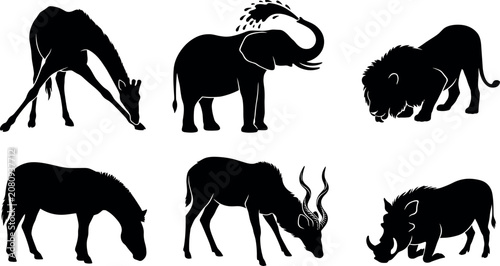 фотографія African Wildlife Silhouette Set with Giraffe Drinking Elephant Spraying Water Li