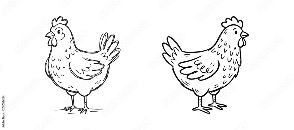 Fototapeta premium Hand drawn sketch illustrations of farm chickens isolated on white background sketches.