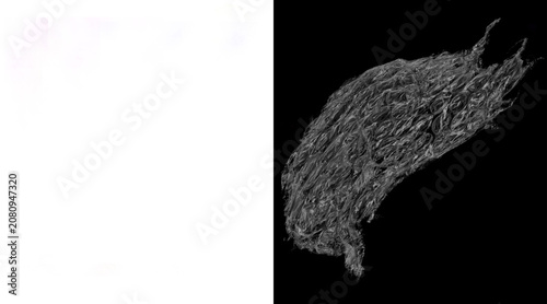 Bild auf Leinwand Microscopic muscle fiber structure, detailed cellular tissue anatomy, monochrome