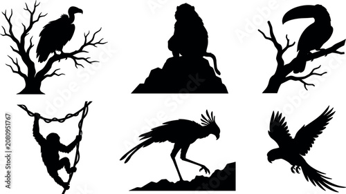 Foto Jungle Wildlife Silhouette Set featuring Perched Vulture Baboon Toucan Climbing