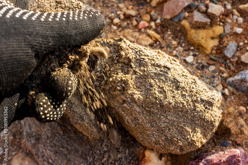 Obraz na plátně Gloved hand crumbling weathered granite rock into coarse sand and grit particles