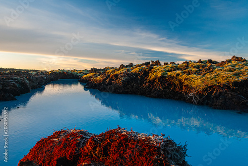 Quadro su tela Volcanic lava formations beside the Blue Lagoon in Iceland with vivid moss color