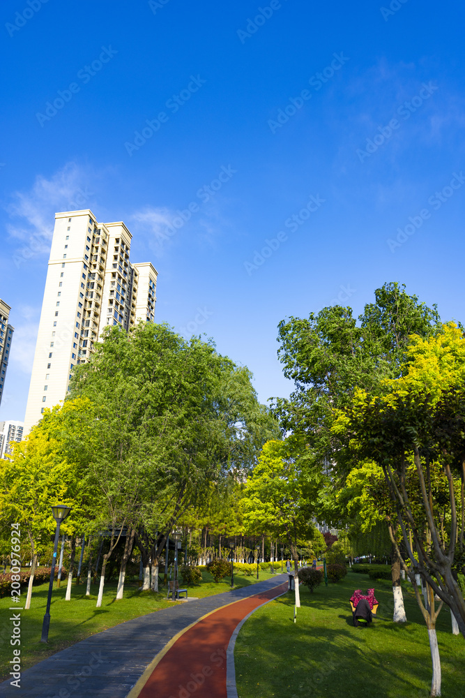Naklejka premium Urban Park with Trees and High-Rise Apartment Buildings