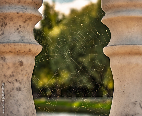 Bilde på lerret Sunlit spider web between stone balusters in a green park
