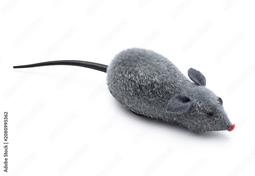 Fototapeta premium Grey fuzzy mouse cat toy with black tail isolated on white background