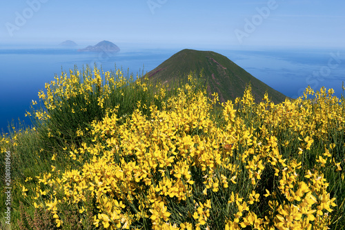 Blooming yellow genista flowers on the slopes of Monte Fossa delle Felci overlooking volcanic islands and Mediterranean sea