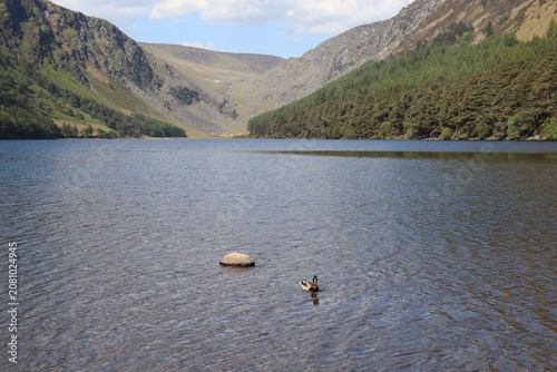 Picturesque mountain lake surrounded by mountains, Upper Glendalough Lake, County Wicklow, Ireland.