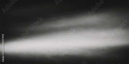 Schilderij op canvas eerie mist and fog swirl across a dark, atmospheric landscape, creating a sense of mystery and isolation