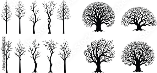 Photos Collection of bare winter tree silhouettes with detailed leafless branches isola