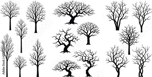 Photos Collection of black bare tree silhouettes and leafless spooky winter branches on