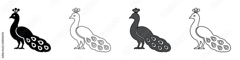 Fototapeta premium Set of four stylized peacock icons in black, white, and gray outlines