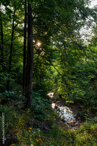Moscow. Bitsevsky forest. Konkovsky stream under the sun star