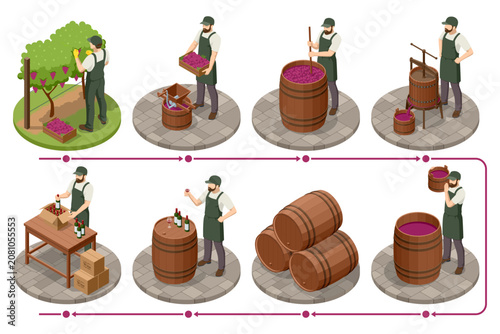 Slika na platnu Isometric wine production infographic with grape harvest, press, vat, barrel and bottle stages linked by arrows