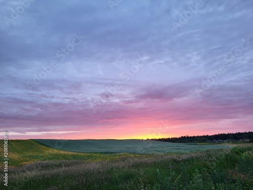 sunset over the field