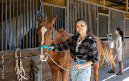 Tablou pe pânză Young woman leading tethered brown horse out of stable