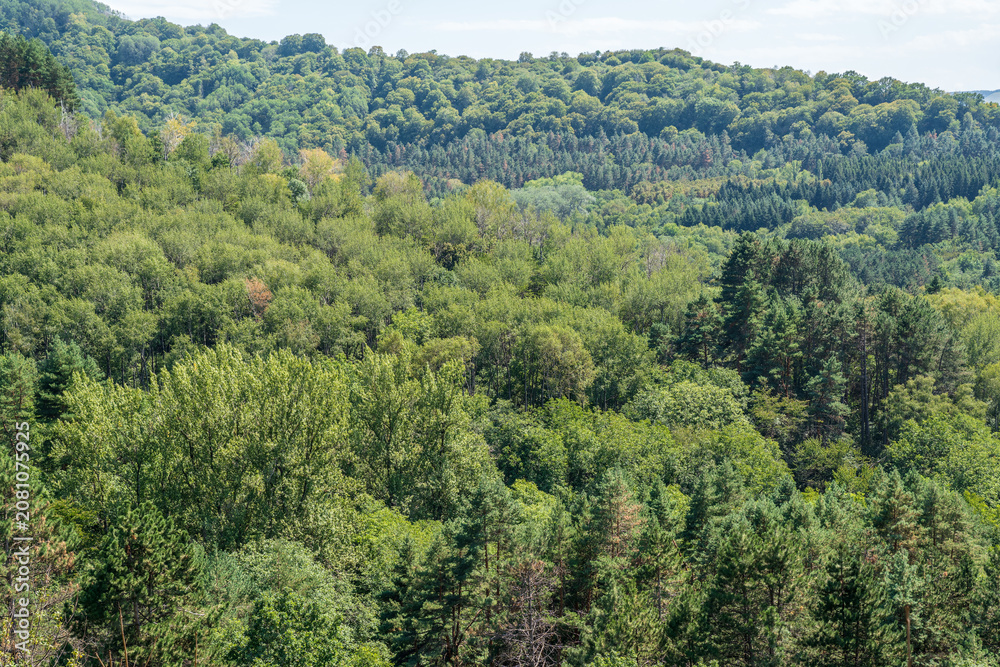 Fototapeta premium Summer Mountains Landscape with Green forest.