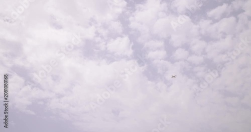 Passenger aircraft flying above tropical palm trees in Sharm El Sheikh Egypt beneath cloudy day creating a peaceful holiday travel scene with resort atmosphere and summer tourism feeling